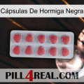 Cápsulas De Hormiga Negra 18